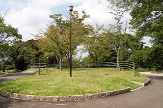 ヴェルコート黒崎駅西プレミアムガーデン青山image